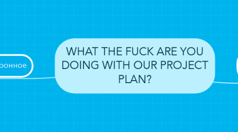Mind Map: WHAT THE FUCK ARE YOU DOING WITH OUR PROJECT PLAN?
