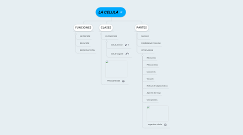 Mind Map: LA CELULA