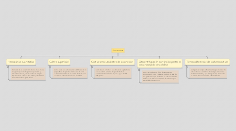 Mind Map: Conservadores