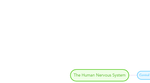 Mind Map: The Human Nervous System