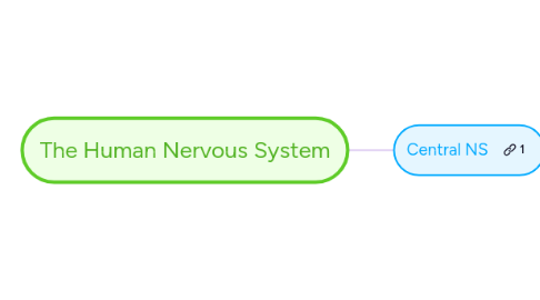 Mind Map: The Human Nervous System