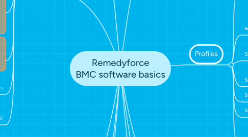 Mind Map: Remedyforce BMC software basics