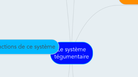 Mind Map: Le système tégumentaire