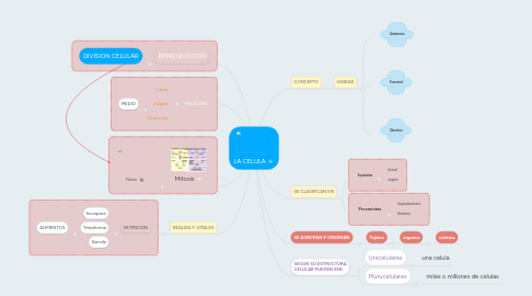 Mind Map: LA CELULA