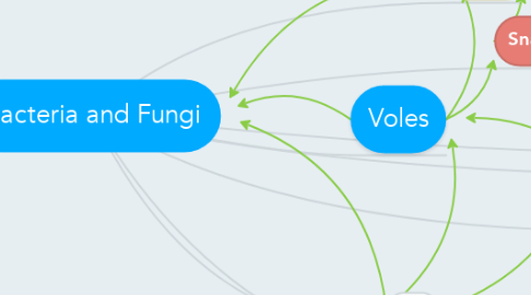 Mind Map: Bacteria and Fungi