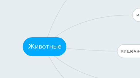 Mind Map: Животные