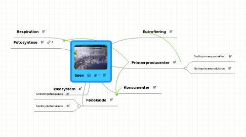 Mind Map: Søen