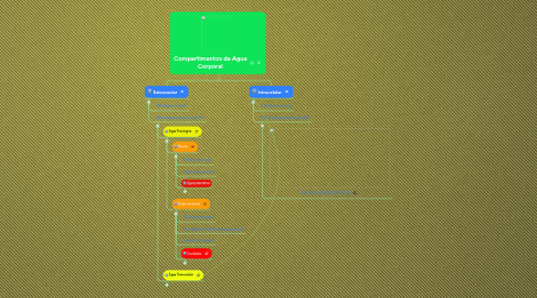 Mind Map: Compartimentos de Agua Corporal