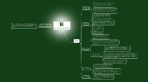 Mind Map: METODOLOGÍA PACIE