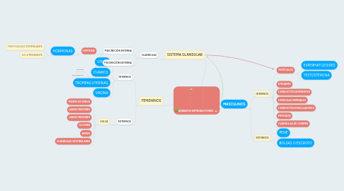 Mind Map: APARATOS REPRODUCTORES