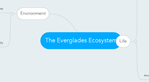 Mind Map: The Everglades Ecosystem