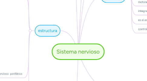 Mind Map: Sistema nervioso