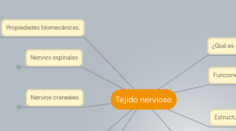 Mind Map: Tejido nervioso