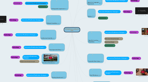 Mind Map: 14 Disabilities as defined in IDEA