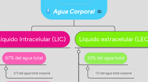 Mind Map: Agua Corporal