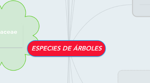 Mind Map: ESPECIES DE ÁRBOLES