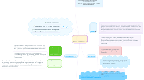 Mind Map: Amparo Constitucional