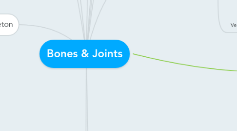 Mind Map: Bones & Joints