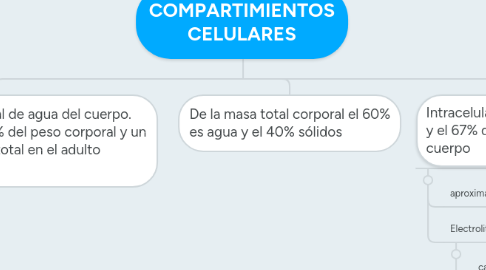 Mind Map: COMPARTIMIENTOS CELULARES