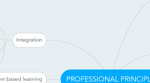 Mind Map: PROFESSIONAL PRINCIPLE