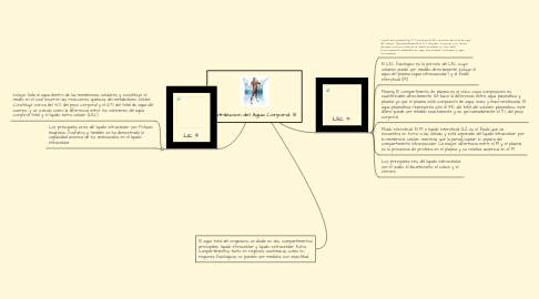 Mind Map: Distribucion del Agua Corporal