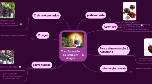 Mind Map: Transformação de vinho em vinagre