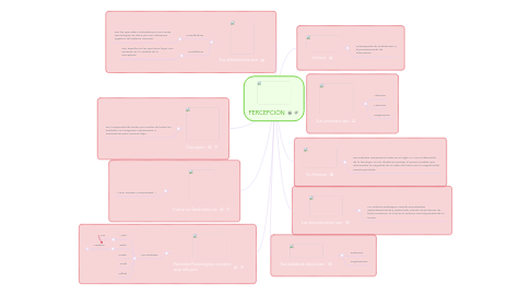 Mind Map: PERCEPCIÓN