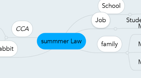 Mind Map: summmer Law