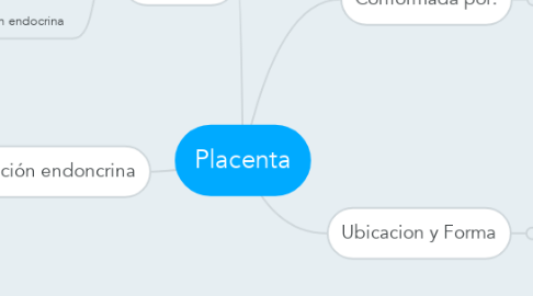 Mind Map: Placenta