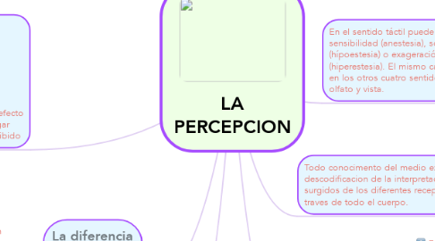 Mind Map: LA PERCEPCION