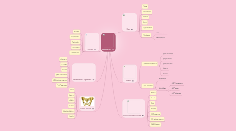 Mind Map: Los Huesos