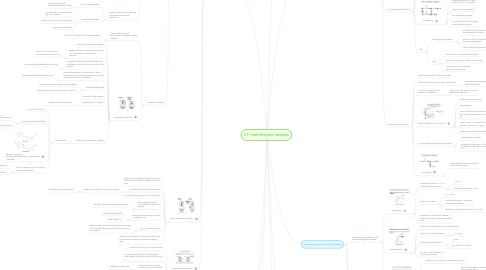 Mind Map: L11-wk6-Enzyme catalysis