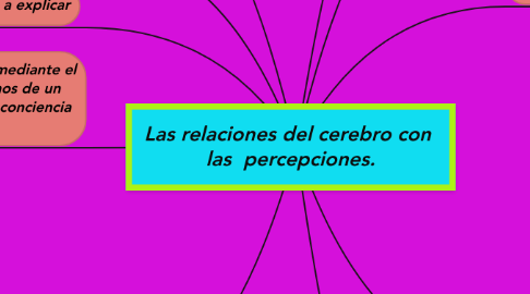 Mind Map: Las relaciones del cerebro con  las  percepciones.