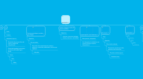 Mind Map: percepción