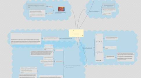 Mind Map: Las Relaciones del Cerebro con  Las  Percepciones.