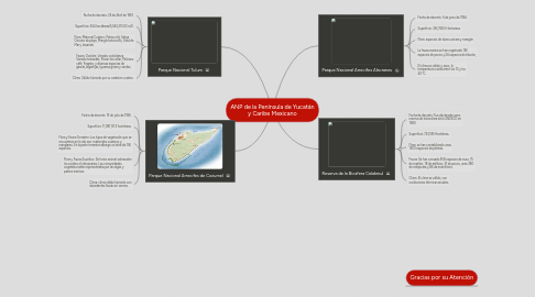 Mind Map: ANP de la Península de Yucatán y Caribe Mexicano