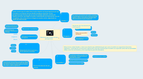Mind Map: Relaciones del cerebro con las percepciones.
