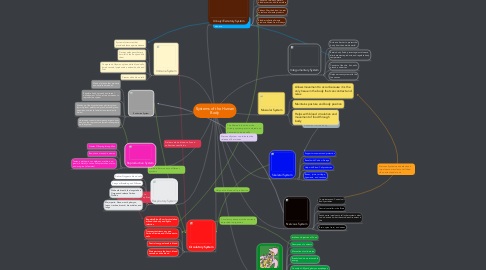 Mind Map: Systems of the Human Body