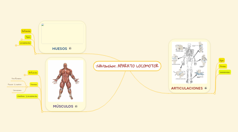 Mind Map: APARATO LOCOMOTOR