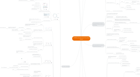 Mind Map: L18-Mitochondria and Citric Acid Cycle