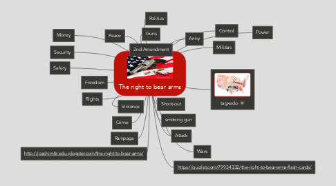 Mind Map: The right to bear arms