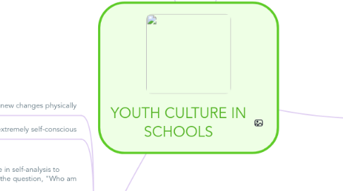 Mind Map: YOUTH CULTURE IN SCHOOLS