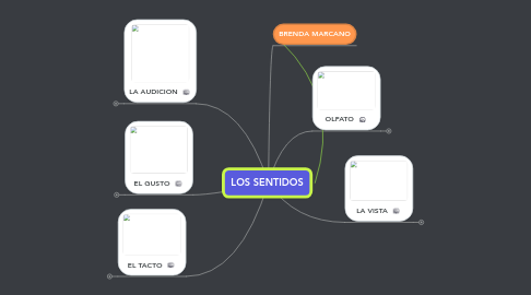 Mind Map: LOS SENTIDOS