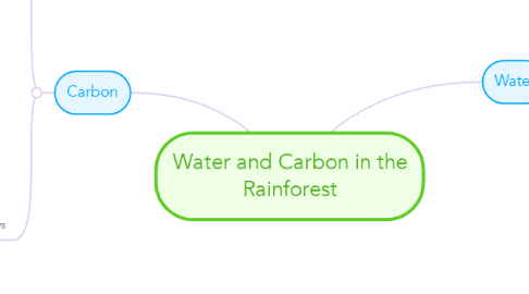 Mind Map: Water and Carbon in the Rainforest