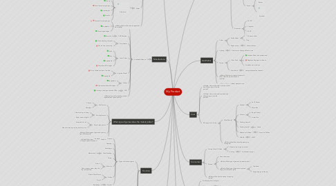 Mind Map: My Product