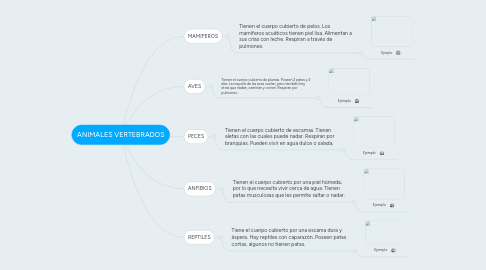 Mind Map: ANIMALES VERTEBRADOS