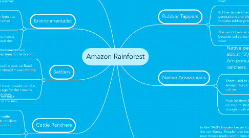 Amazon Rainforest | MindMeister Mind Map
