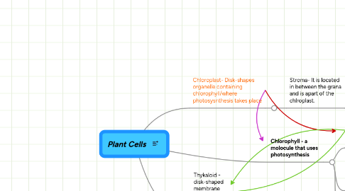 Mind Map: Plant Cells