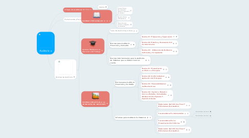 Mind Map: Auditoría