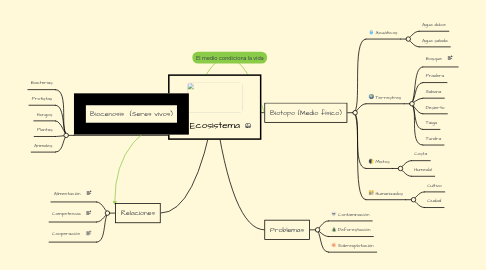 Mind Map: Ecosistema